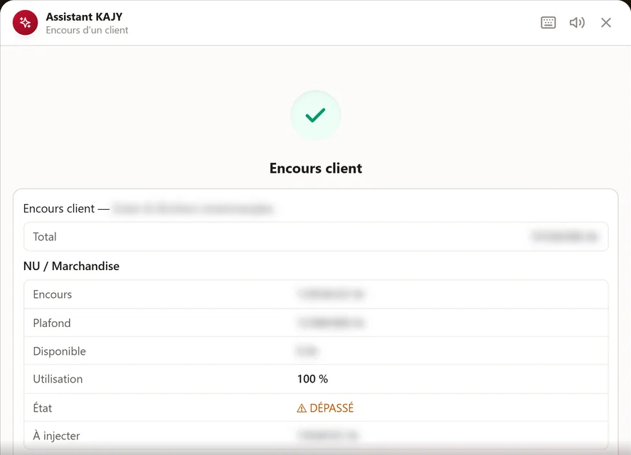 A customer's outstanding: credit limit, available, exceeded